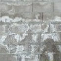 Efflorescence