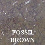 Fossil Brown Limestone Remnants Fossil Brown Limestone Remnants