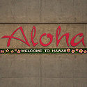 Hawaii Kitchen Remodel Contractors