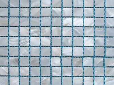 Shell Mosaic Tile